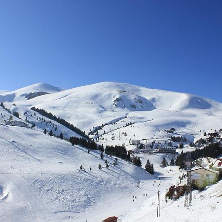 تيتوفو Snow Patrol Lodge المظهر الخارجي الصورة