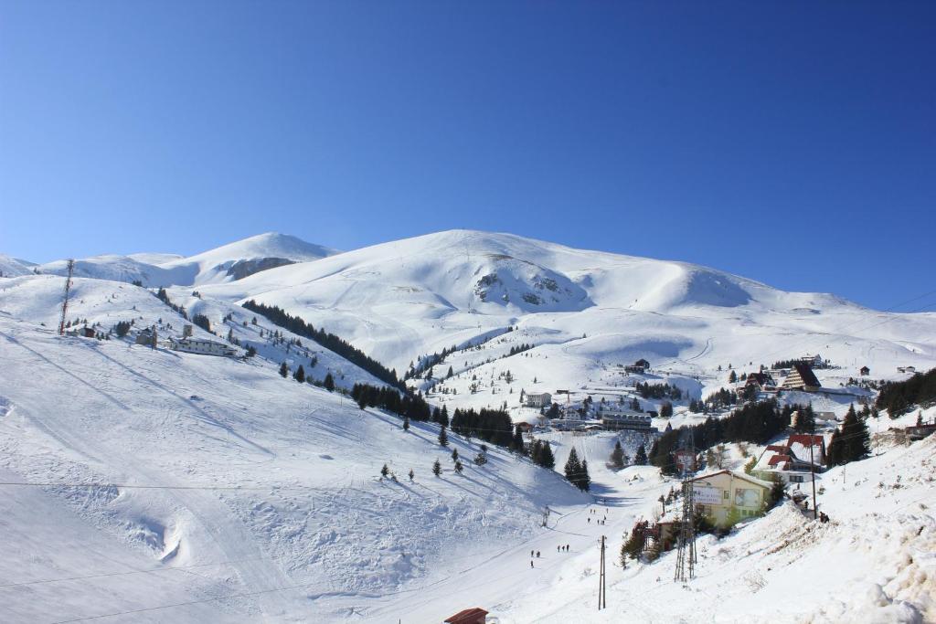 تيتوفو Snow Patrol Lodge المظهر الخارجي الصورة
